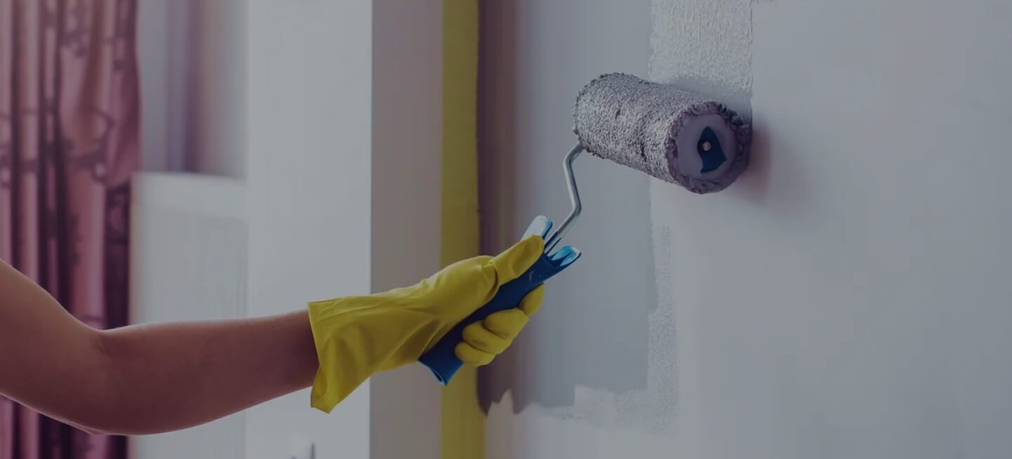 Paints & Accessories