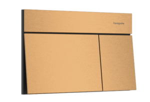 Hansgrohe iFrame Element E Flush plate for dual flush